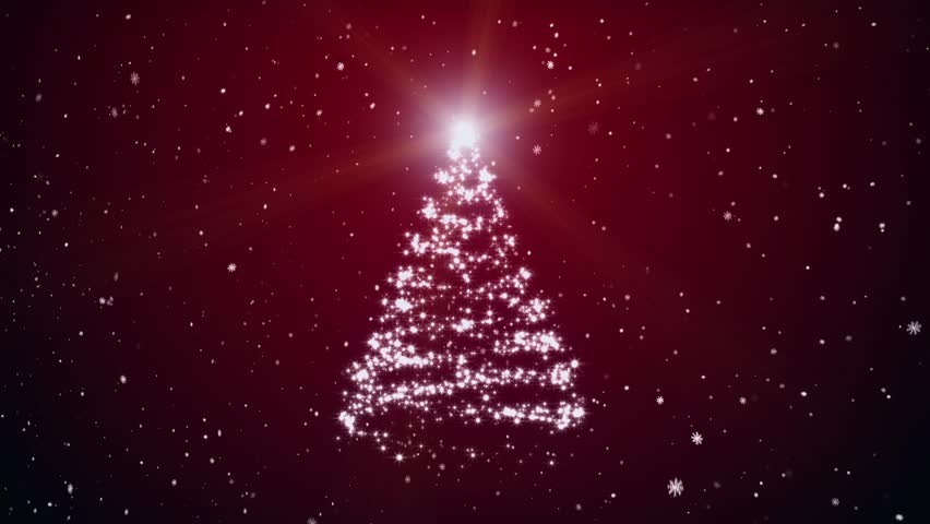 Growing fur-tree and snowflakes on a red background 