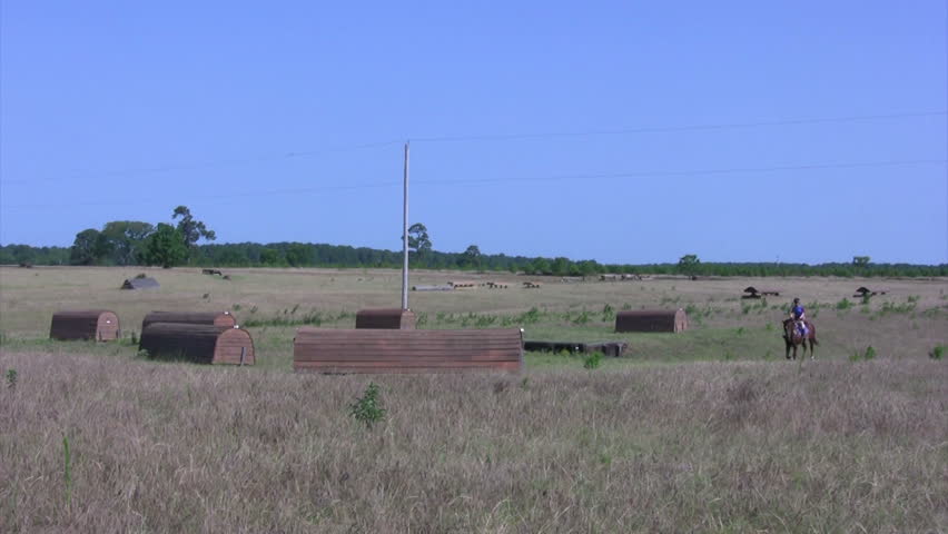 Young girl jumping her horse in an open field