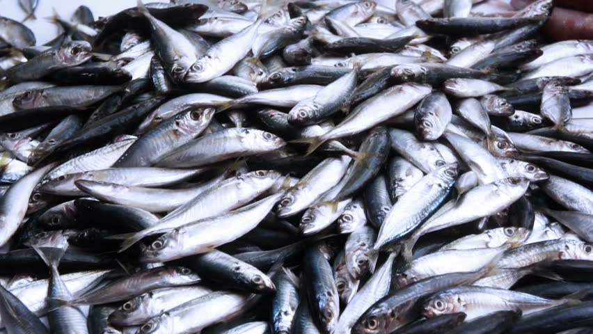 fishes display in Wet Market
