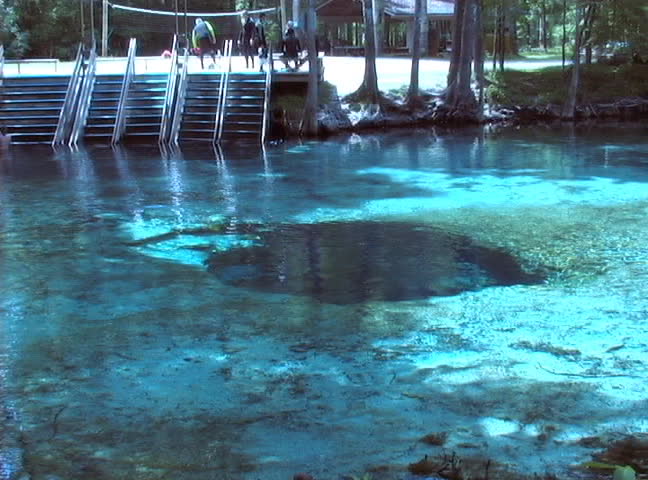 A spring cave at Ginnie Springs, High Springs, Florida.