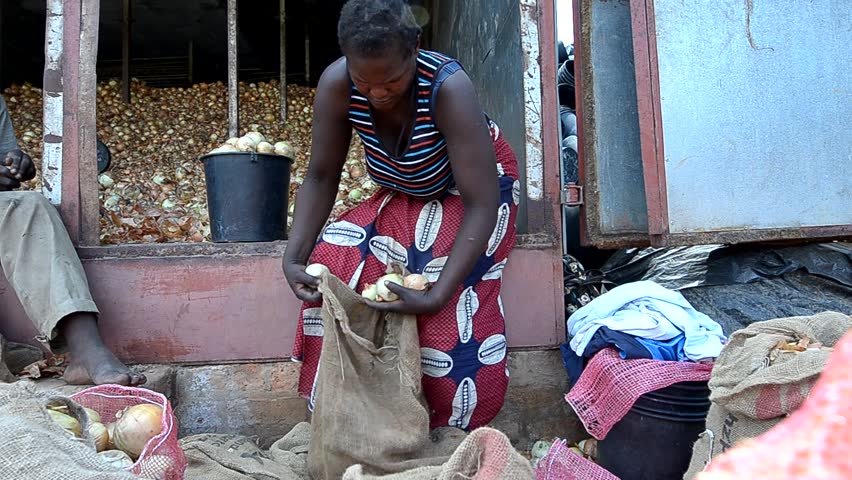 ZAMBIA - CIRCA DECEMBER 2011: Woman collects onions in a factory circa December 201 in Zambia. Agriculture plays a very important part in Zambia's economy providing many more jobs than the mining industry.