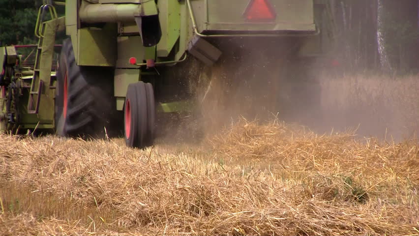 Close-up of combine transferring freshly harvested wheat to tractor-trailer for transport