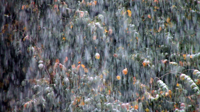 First snow at autumn