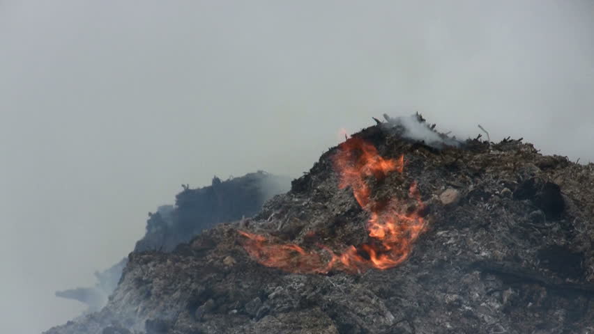 Burning waste smoking timber
