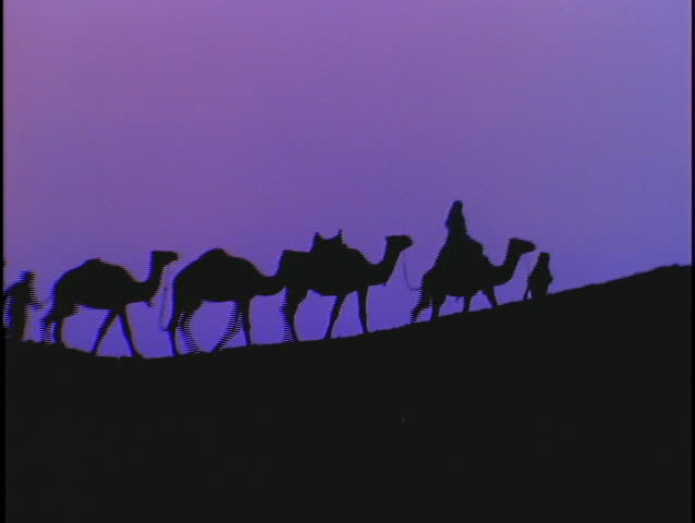 A caravan of camels silhouette against a purple sky.