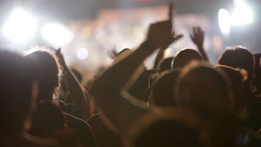 Footage of a crowd partying at a rock concert