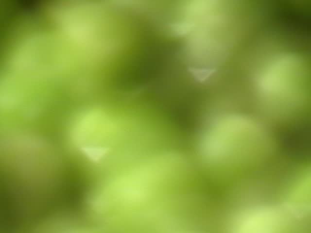 Peas