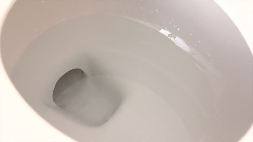 Water Empties from a Clean White Toilet (complete flushing sequence)