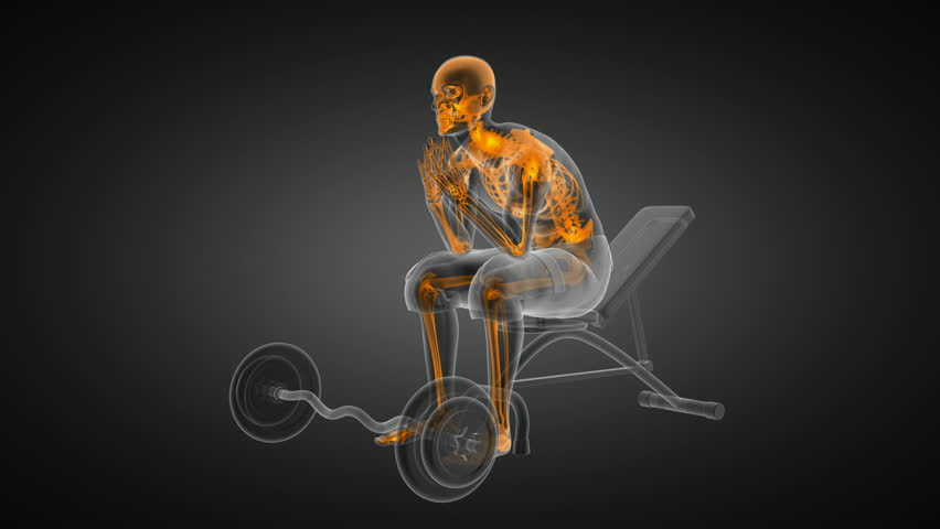 human radiography scan in gym room