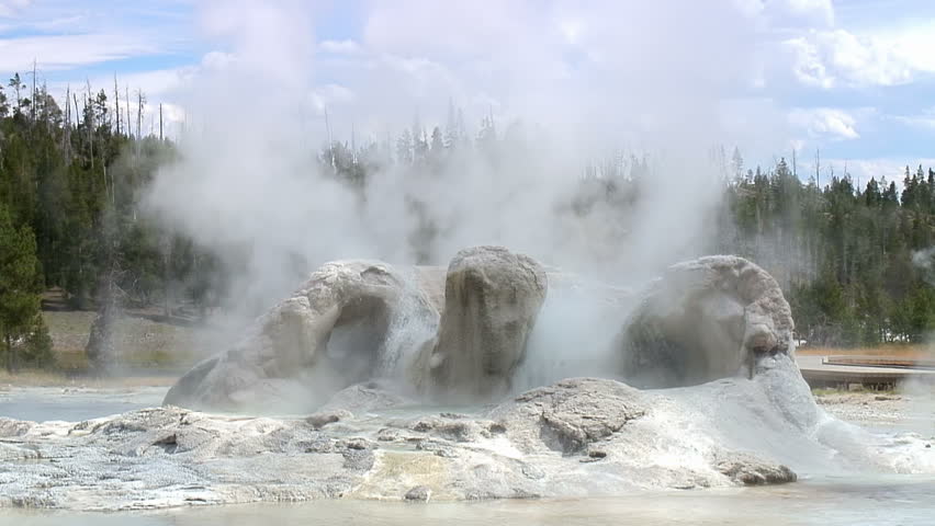 Grotto Geyser in Yellowstone National Park 