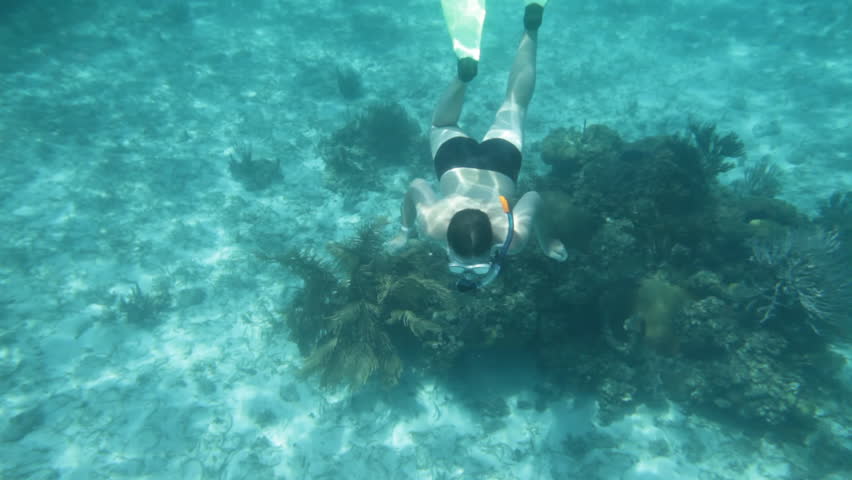Snorkeler diving along the brain coral