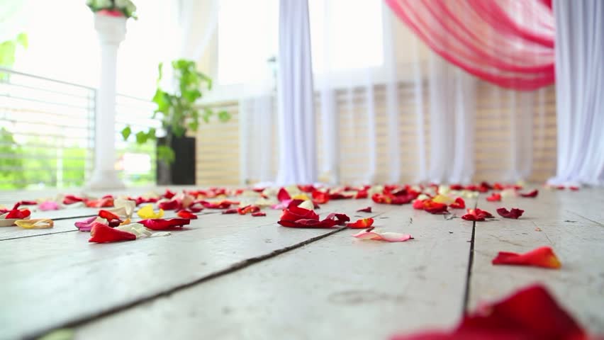 Image result for red petal on the floor