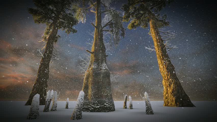Christmas forest