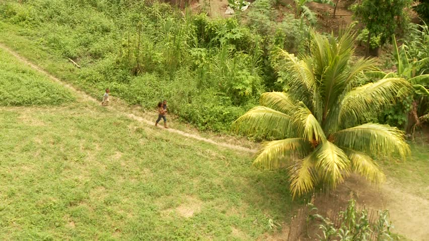 Rain Forest from Abaove with little Village