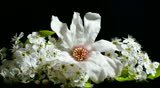 Time lapse video of a bunch of flowers wilting.
