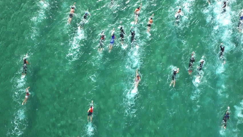 Contest Winner Stock Footage Video - Shutterstock