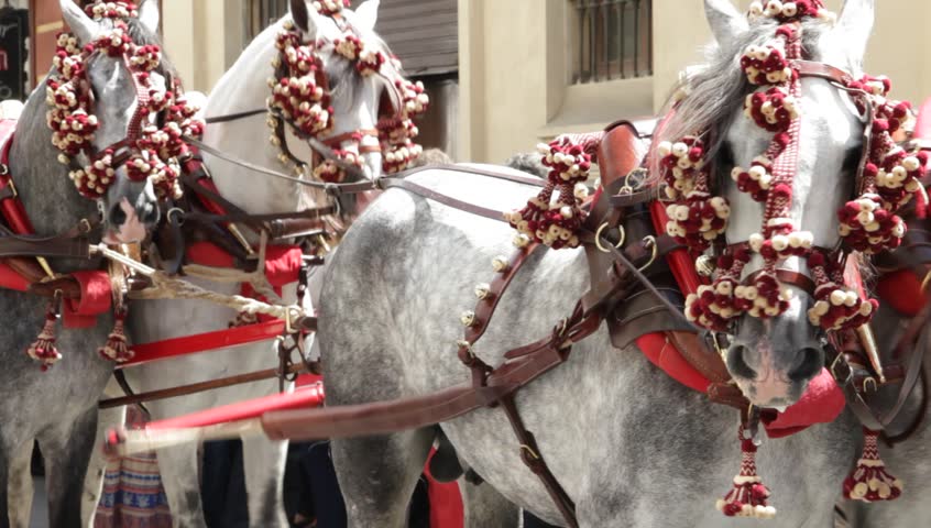 SEVILLE - APRIL 22: Traditional carriage parade the day before begins the world famous April's Fair of Seville on April 22, 2012 in Seville, Spain. Women and men wear traditional clothing.