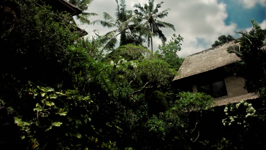 Timelapse tilt up of villa in Ubud, Bali.