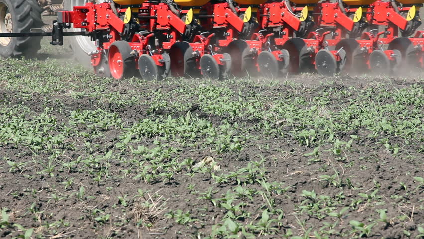 Farmer sowing corn and spraying against weeds on a field