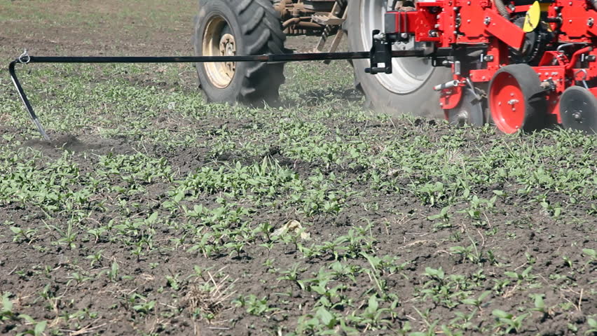 Farmer sowing corn and spraying against weeds on a field