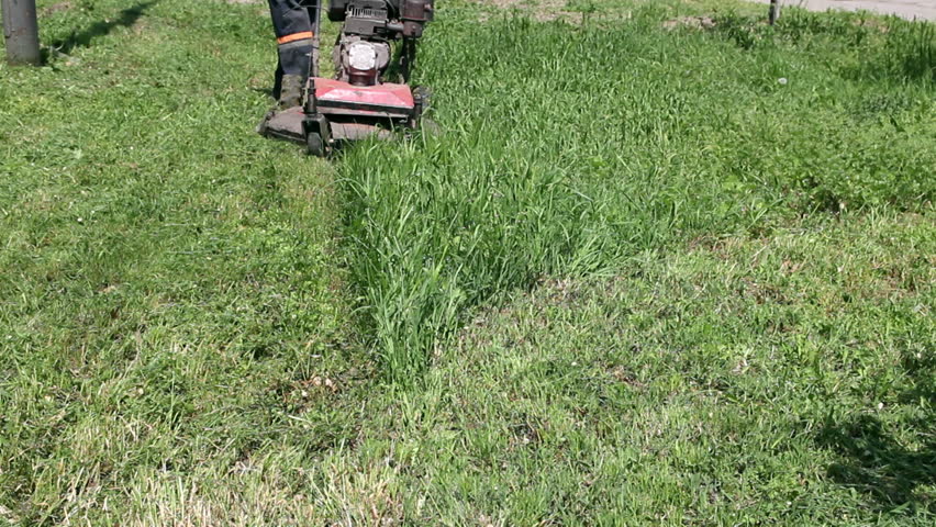 Man cutting grass with lawn mower. HD1080p