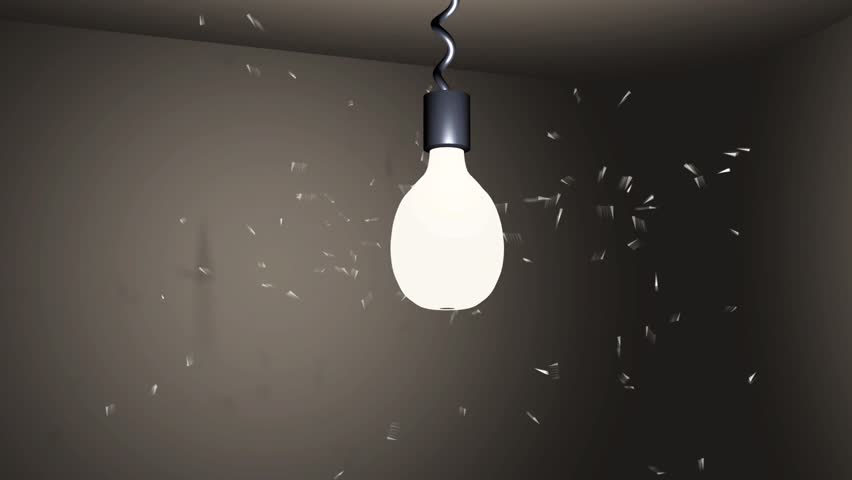 insect flying around a lamp 