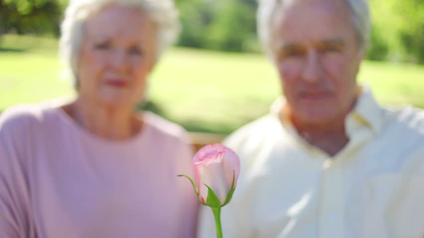Mature woman smelling a rose while sitting with her husband in a park