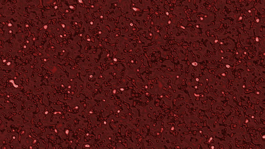 Blood Under Microscope