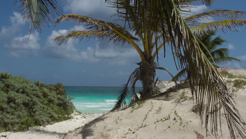 motion timelapse of a perfect paradise beach with a lone palm tree, mexican caribbean coast (using dynamic perception motion dolly)
