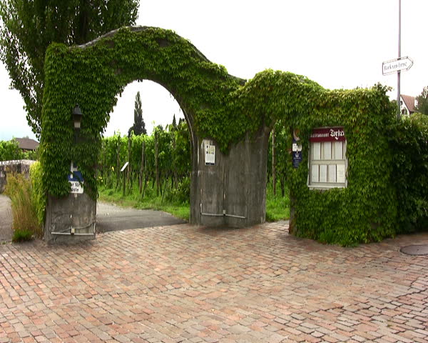 travel, landscape, europe, liechtenstein, city, wine, capital, viticulture, vineyard, sightseeing, 