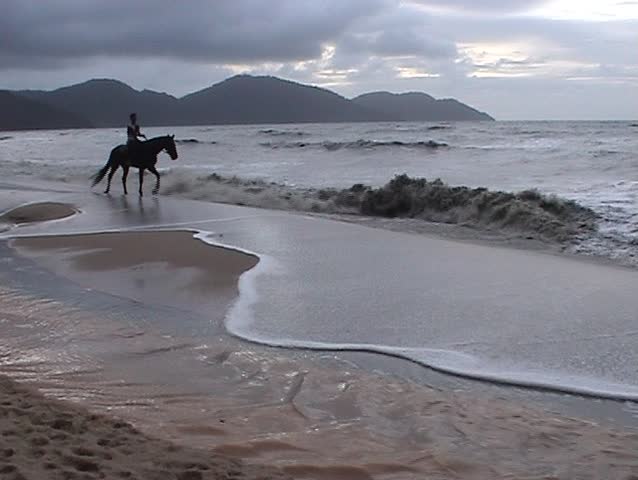 Man riding a horse on a beach