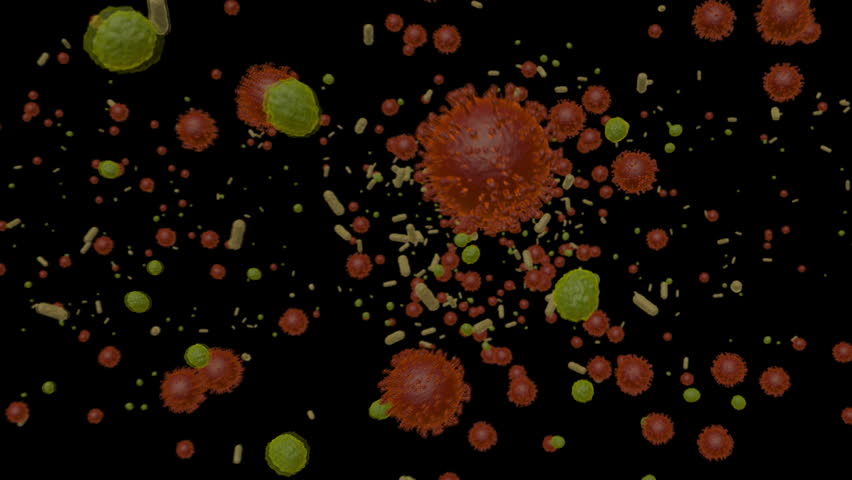 Fly through microscopic 3D animation of universe of human disease and illness visualizing infectious agents like virus and bacterium in intracellular space in CG artist representation