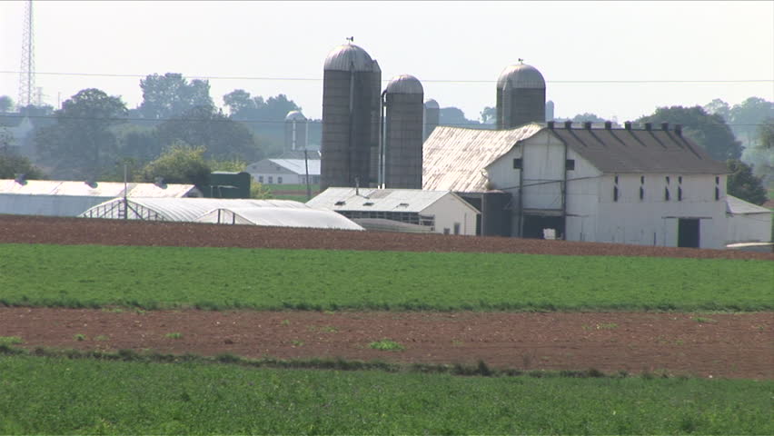 Amish horse and buggy in the field of a farm in Lancaster, Pennsylvania