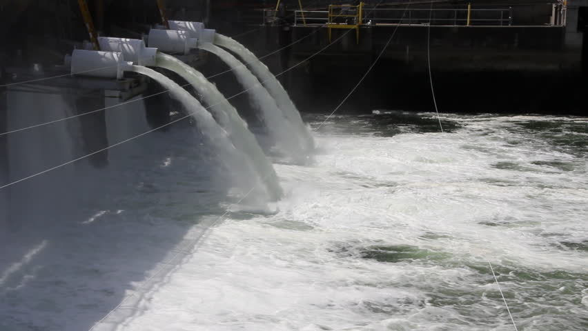 Water cannon type structure on top of a dam to transport salmon to the sea