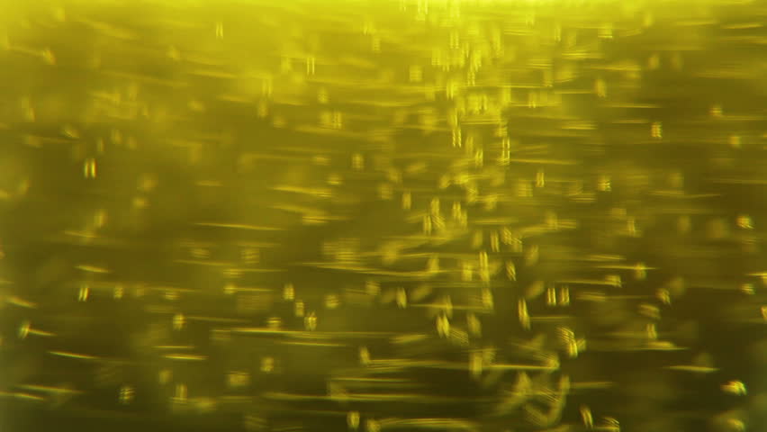 Macro clip of liquid, bubbles and froth. Abstract video that could be used as effect, transition or background and even as a conceptual video. 