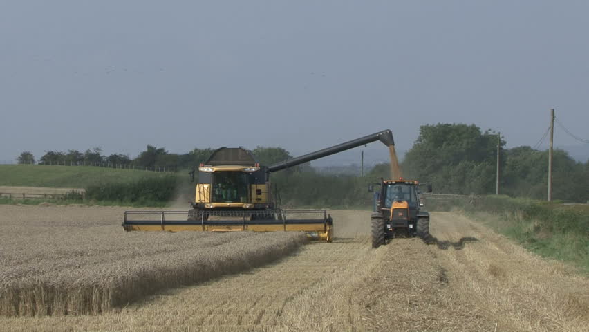 STAPLETON, NORTH YORKSHIRE, UK - SEPTEMBER 17: the wet summer has caused a late grain harvest in 2008. At the start of September between 30% and 50% of the national grain crop was still in the fields.