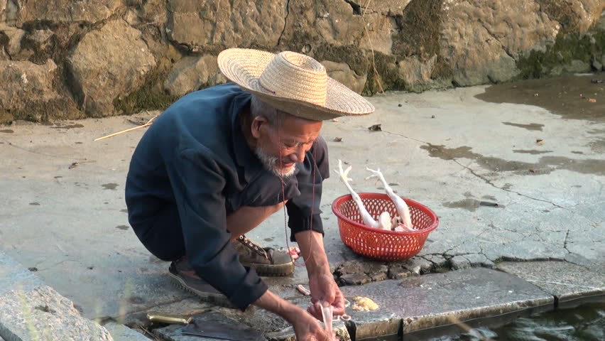 YANGSHUO - AUGUST 10 2010: An elderly Chinese man is cleaning and chopping a chicken in a village in China