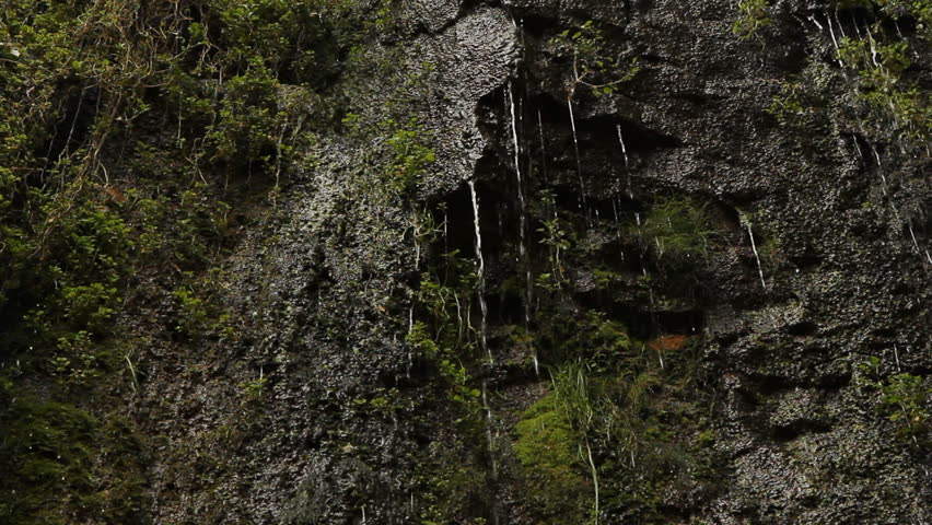 Wet cliff face. Two shots.
Torrents of water flowing down a mossy cliff face. Two shots. Websters Falls, Dundas, Ontario, Canada.
