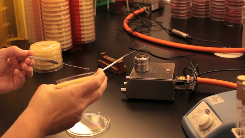 disinfecting a tool in the flames of a burner in a research laboratory