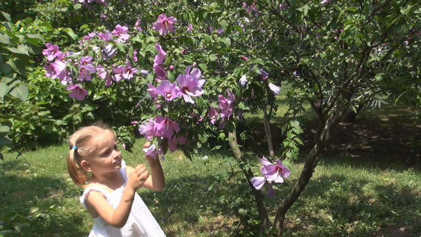 Child Smelling and Playing with Flowers in Park, Child Sneezing because of the Pollen