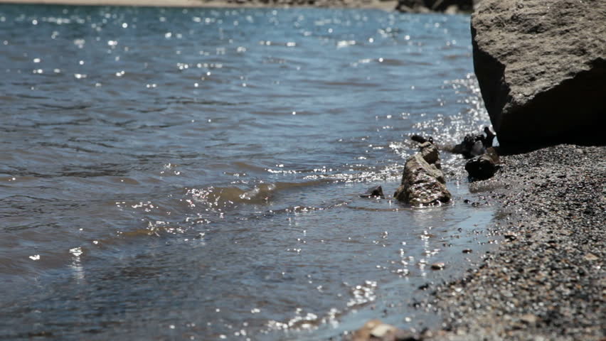 Lake shore waves