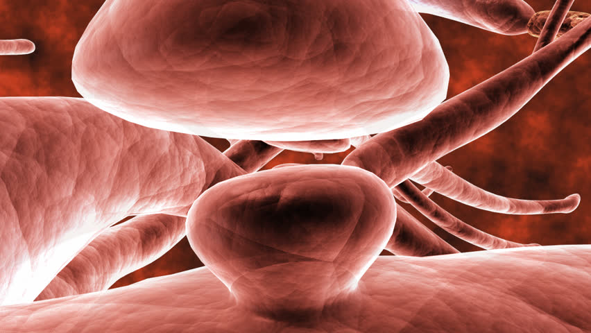 Brain cell synapse showing chemical messengers or neurotransmitters released from pre-synaptic neuron to be received by the post-synaptic nerve cell receptor in a CG model visualization