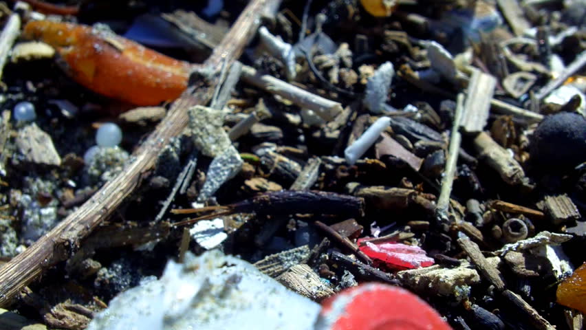 An extreme close up of bits of plastic and styrofoam trash mixed with organic flotsam on the beach in Southern California. 