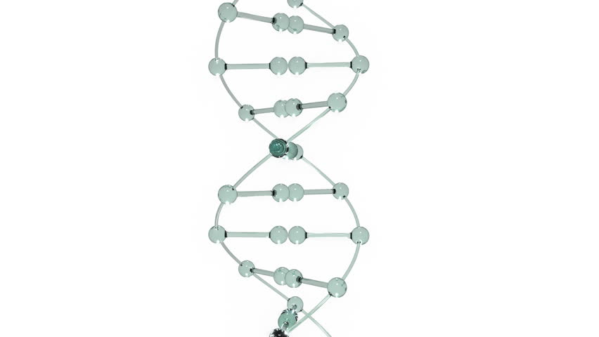 Camera slowly zooms in then stops as the molecule rotates. The last 200 frames (frame 691-frame 890) will loop smoothly.