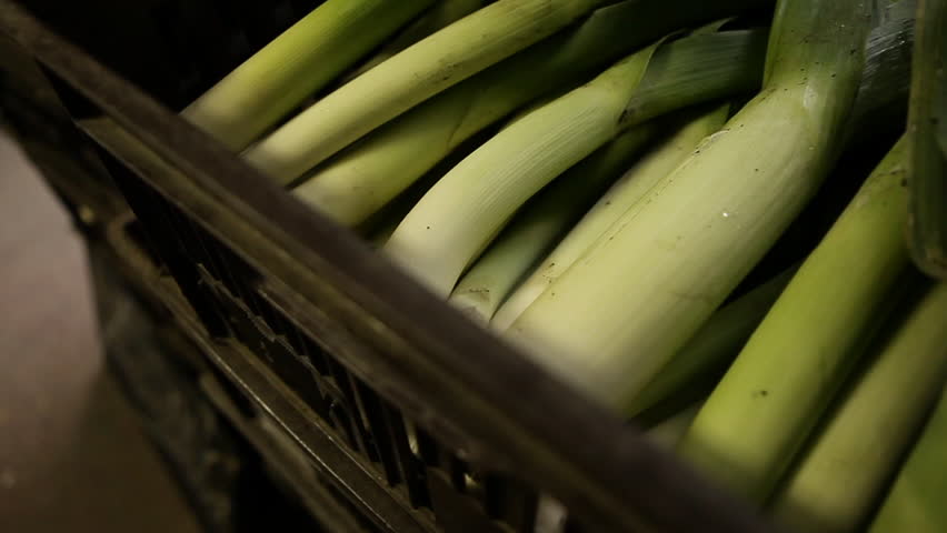 Pan over a crate full of fresh leeks in a market