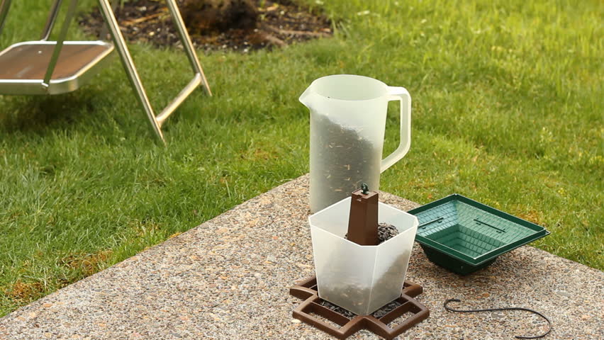 Male person filling a bird feeder on the back patio with black oil sunflower seeds poured from a pitcher so the wild birds will be able to enjoy one of their favorite foods.

