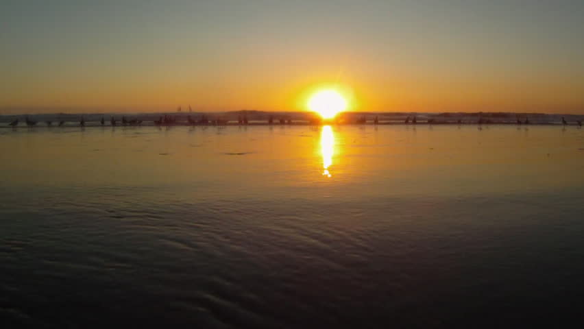A birds eye view of the setting sun and the ocean waves as a large group of sand pipers walk in shallow water, then fly away as the camera is engulfed with water