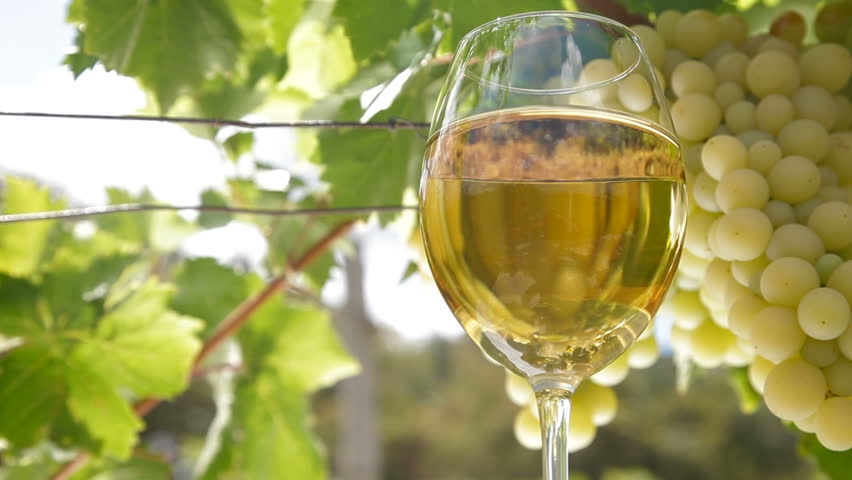 Glass of white wine and bunch of muscat white grapes