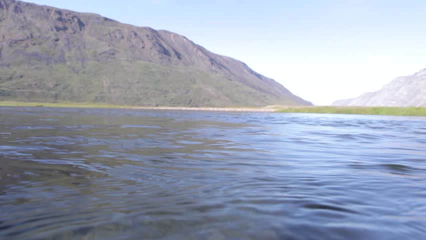 Waterline transition shot of arctic chars (Salvelinus alpinus) in clear water stream, Greenland