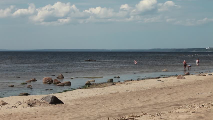 The wild beach on the shores of the Baltic Sea
